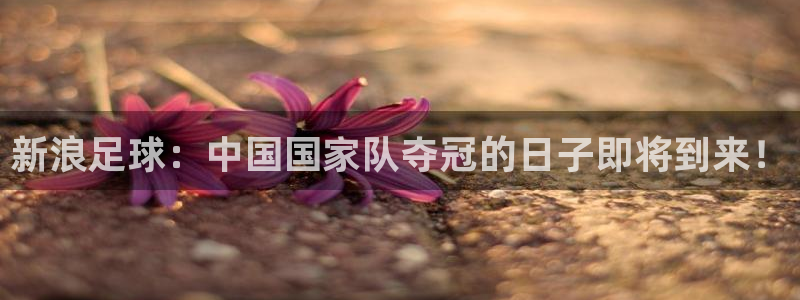 2026世界杯中国队：新浪足球：中国国家队夺冠的日子即将到来！