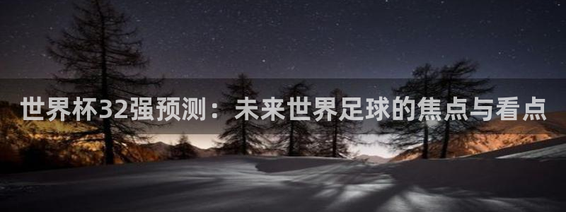 世界杯直播平台：世界杯32强预测：未来世界足球的焦点与看点