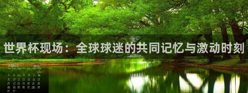 世预赛赛程表：世界杯现场：全球球迷的共同记忆与激动时刻