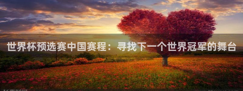 美洲杯直播：世界杯预选赛中国赛程：寻找下一个世界冠军的舞台