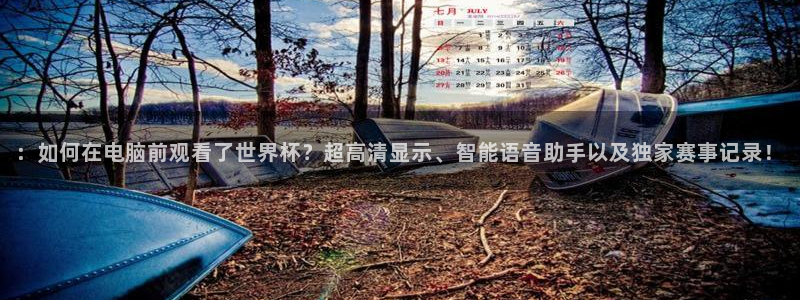 葡萄牙世界杯赛程：：如何在电脑前观看了世界杯？超高清显示、智能语音助手以及独家赛事记录！
