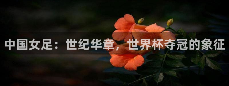 2006年世界杯冠军：中国女足：世纪华章，世界杯夺冠的象征