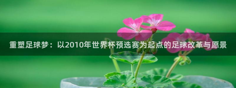 足球世界杯：重塑足球梦：以2010年世界杯预选赛为起点的足球改革与愿景