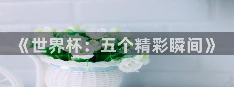 2026世界杯对阵图：《世界杯：五个精彩瞬间》
