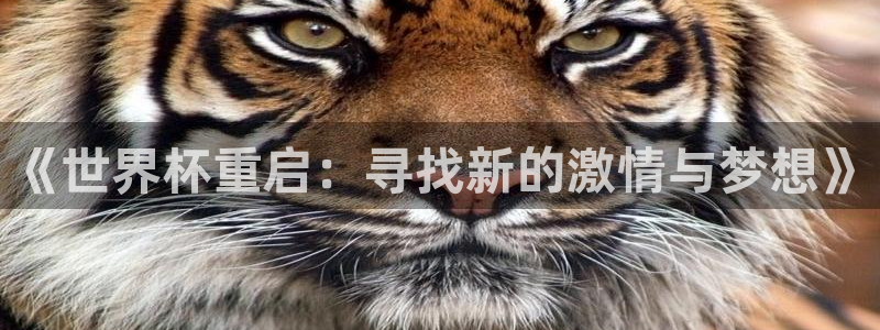 世界杯赛程表2026：《世界杯重启：寻找新的激情与梦想》