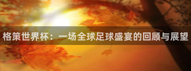 世预赛直播:格策世界杯:一场全球足球盛宴的回顾与展望