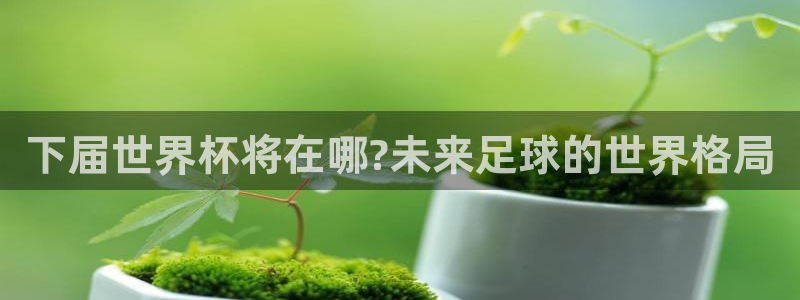 世界杯决赛圈球队：下届世界杯将在哪?未来足球的世界格局