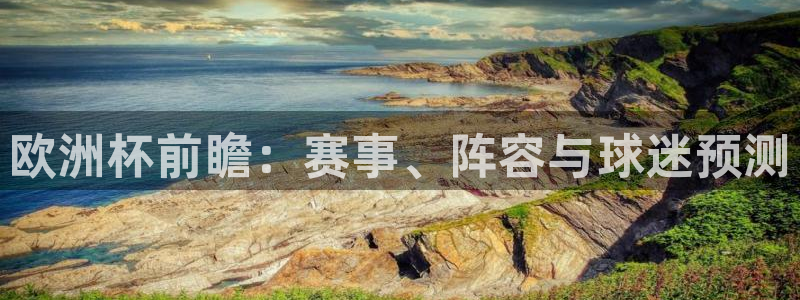 世界杯48支球队赛制：欧洲杯前瞻：赛事、阵容与球迷预测