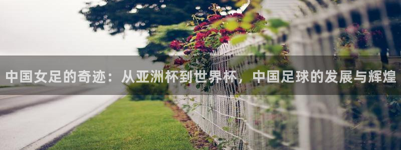 世界杯欧洲预选赛赛程：中国女足的奇迹：从亚洲杯到世界杯，中国足球的发展与辉煌