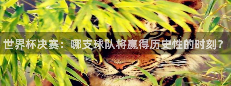 世界杯直播网站：世界杯决赛：哪支球队将赢得历史性的时刻？