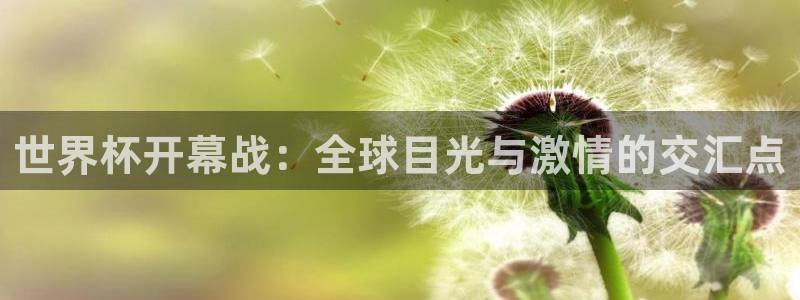 世界杯足球赛2026赛程时间：世界杯开幕战：全球目光与激情的交汇点