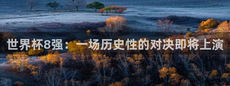 世界杯预选赛赛程表：世界杯8强：一场历史性的对决即将上演