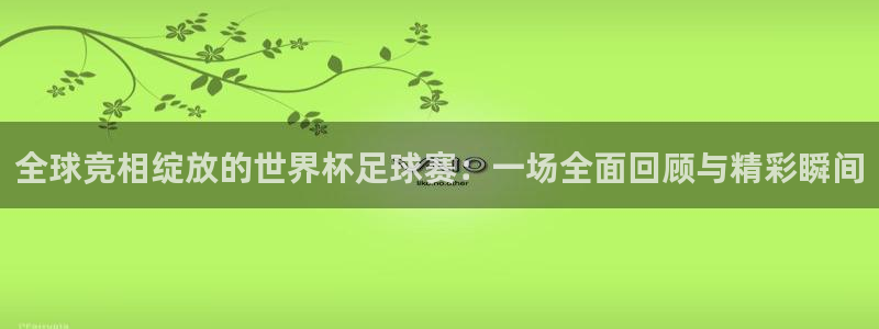 世界杯视频：全球竞相绽放的世界杯足球赛：一场全面回顾与精彩瞬间