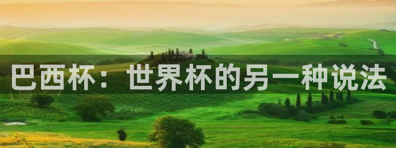 免费看足球直播比赛：巴西杯：世界杯的另一种说法